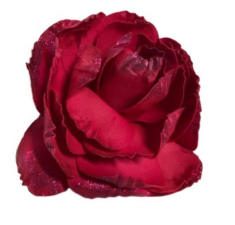 Riesen Rose XXL, pink