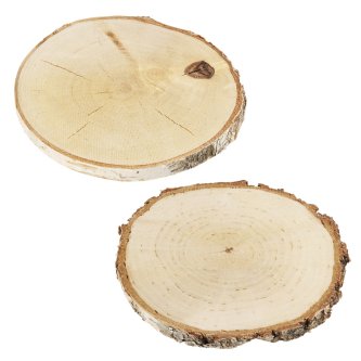 Birkenholzscheiben ca. 4-6  cm, 4 Stück