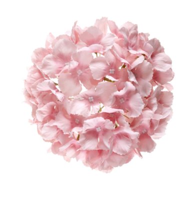 Hortensie rosa, Blume, 20 cm