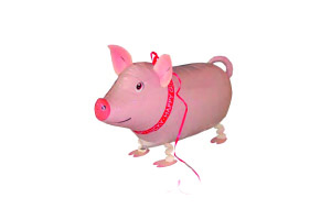Glücksbringer Schwein als Ballon