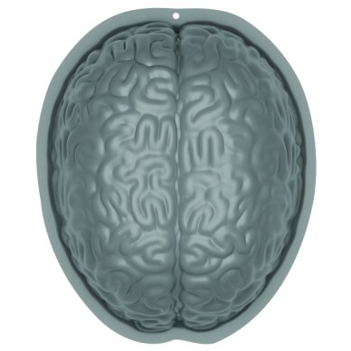 Puddingform Gehirn