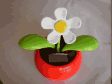 Solarblume Solarblume