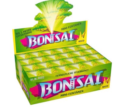 Bonsai, 1 Stück