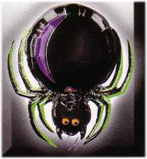 Folienballon Halloween Spinne