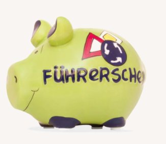 Sparschwein - Führerschein