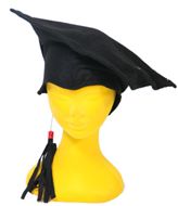 Abitur Hut / Doktor Hüte