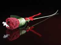 Valentinstag Geschenke: Slip-Rose