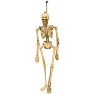 Skelett hängend, 152 cm