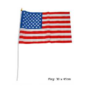USA Flagge am Stab im Shop
