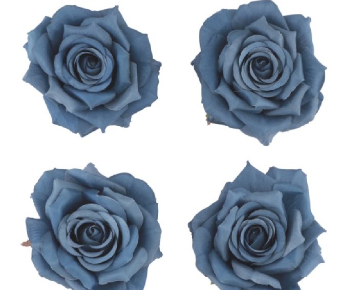 Dekorosen blau 9,5 x 5,5 cm, 4 Stück Dekorosen blau 9,5 x 5,5 cm, 4 Stück