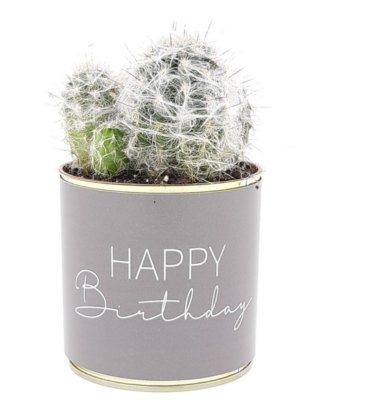 Happy Birthday Kaktus Blumen Geschenk