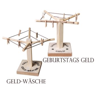 Geldwäsche Spinne 2 in 1