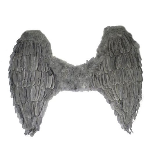 Feder Flügel - grau - 65 x 70 cm