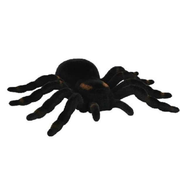 Dekoration Tarantula Spinne Dekoration Tarantula Spinne