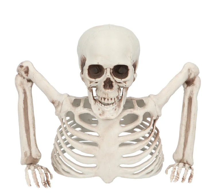 Halloween Skelett Deko Halloween Skelett Deko