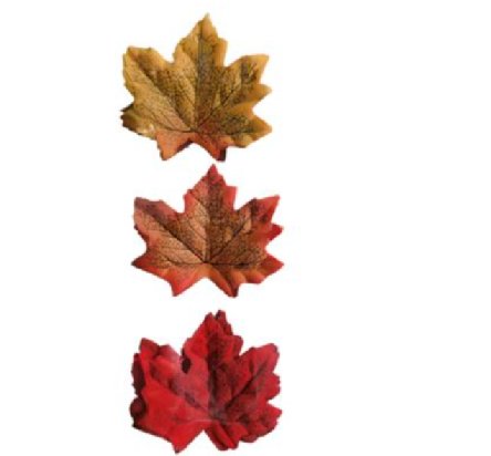 Herbstblätter, 36 Stück