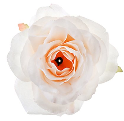 Hochzeit Rosen creme, 4 Stück