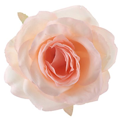 Hochzeit Rosen pfirsich, 4 Stück