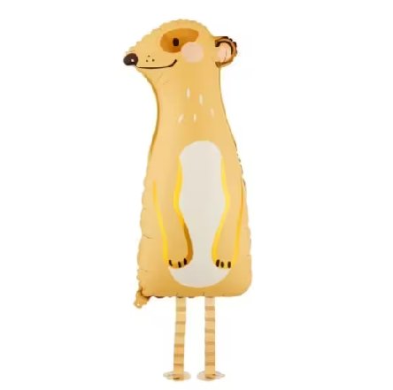 Erdmännchen stehend für Zooparty