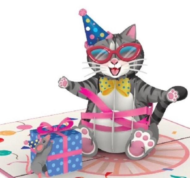 Katze Glückwunsch Pop-Up Karte