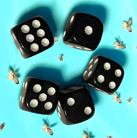 Würfel, 5 Stück in schwarz